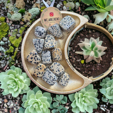 Cargar imagen en el visor de la galería, Polished Dalmatian Jasper