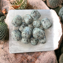 Cargar imagen en el visor de la galería, Kiwi Jasper Nuggets