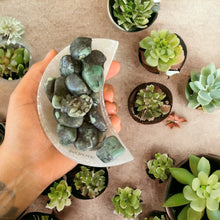 Cargar imagen en el visor de la galería, Polished Emerald