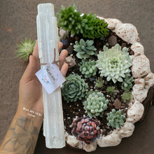 Cargar imagen en el visor de la galería, Selenite Sticks