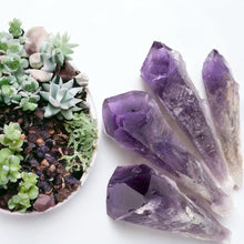 Cargar imagen en el visor de la galería, Amethyst Elestial Points