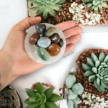 Cargar imagen en el visor de la galería, Polished Fancy Jasper