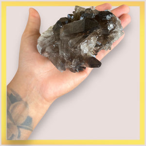 Smoky Quartz big Cluster