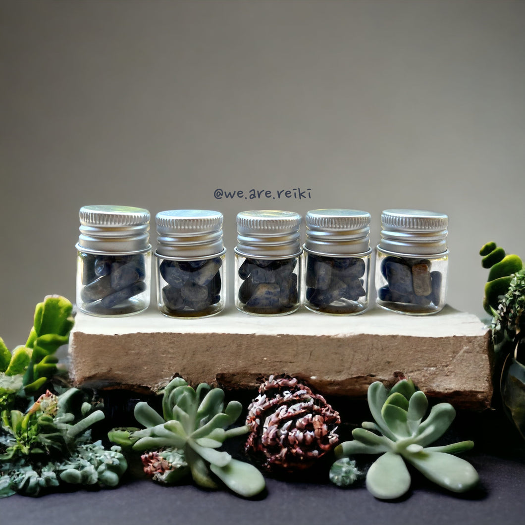 Sodalite Tiny Jars