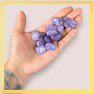 Charoite free form chips