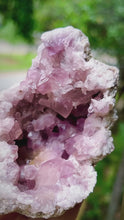 Load and play video in Gallery viewer, Pink Amethyst Geode
