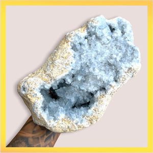 XLarge Celestite Cluster